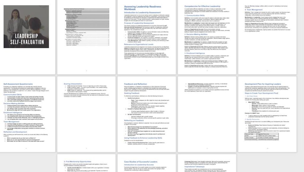 leadership-assessment leadership-assessment